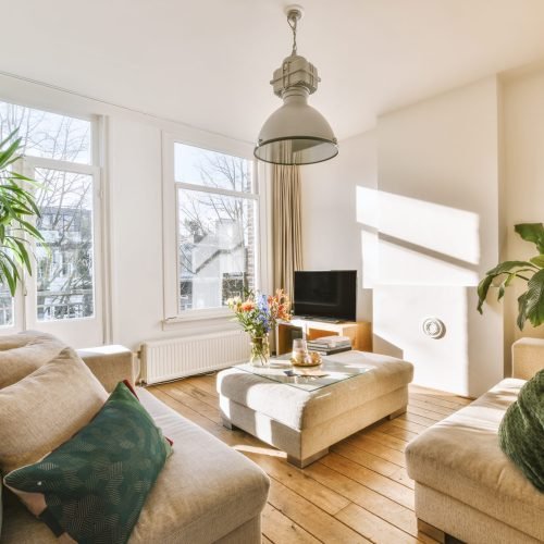 Comfortable sofas with soft cushions and table with vase near television in spacious light living room